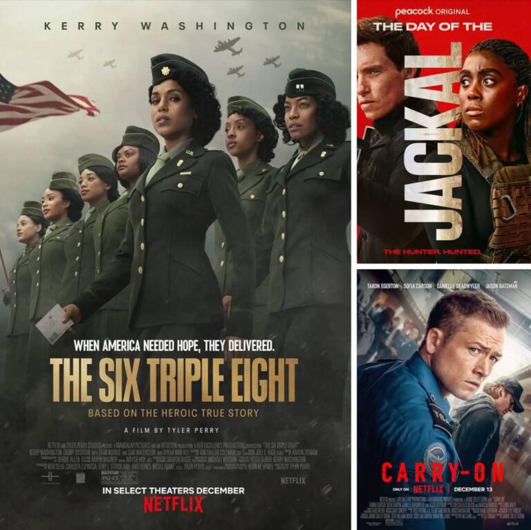 Top 8 Best Mini Series Of 2024🎬5 (1)